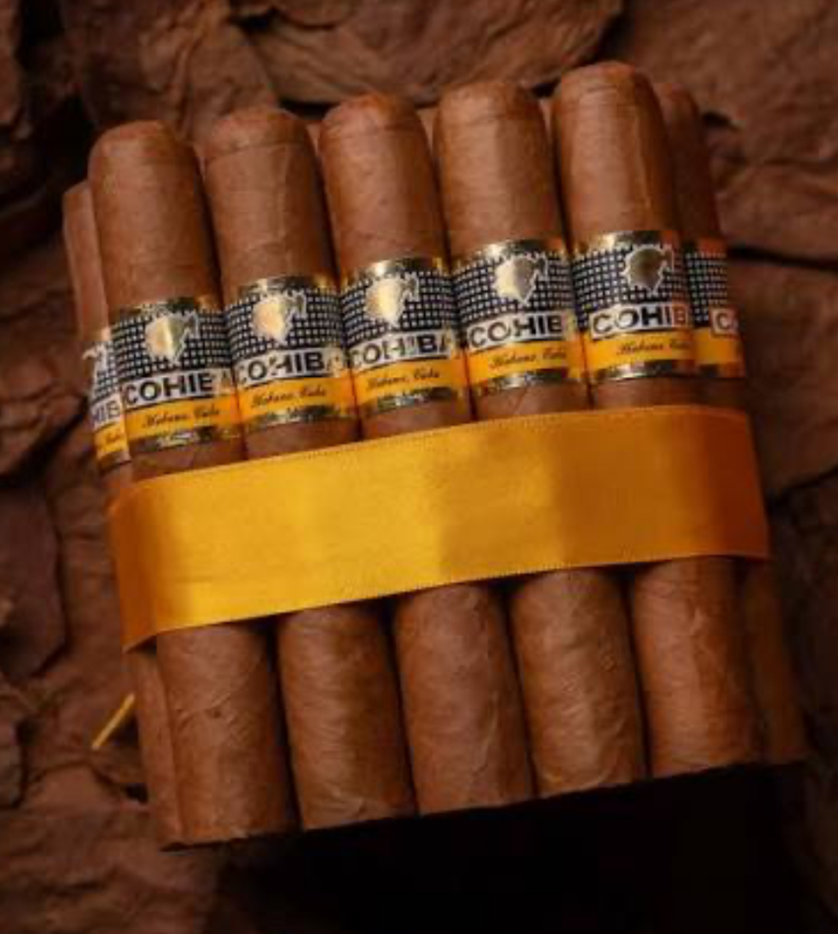 Cohiba Línea Clásica Robustos 실제 제품 사진
